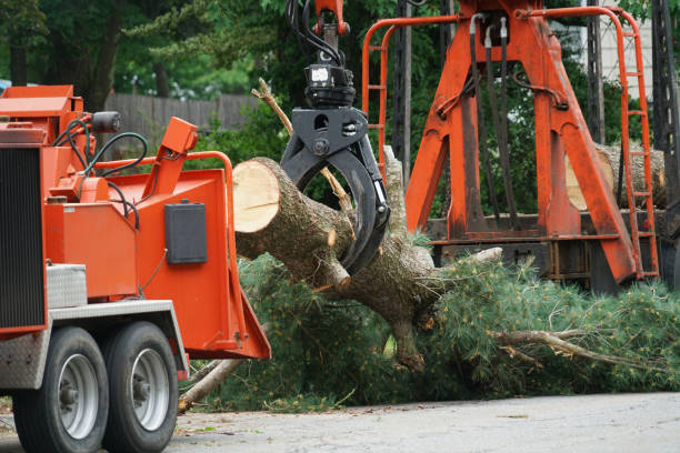 Organic Lawn Care Solutions in Castle Point, MO